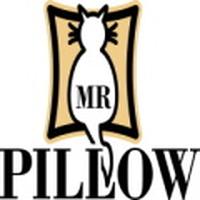 MR Pillow