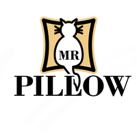 MR Pillow